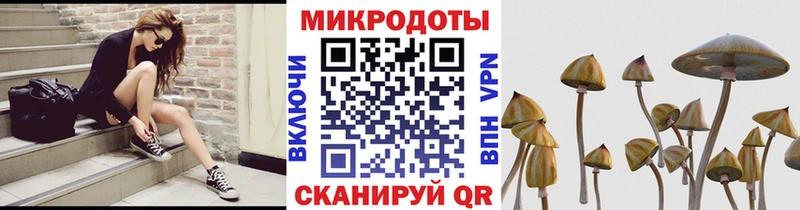 цены наркотик  Шилка  Галлюциногенные грибы прущие грибы 